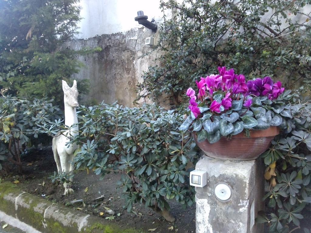 Domus Aurea Bed & Breakfast Napoli Exterior foto
